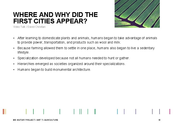 WHERE AND WHY DID THE FIRST CITIES APPEAR? Video Talk / David Christian • WHERE AND WHY DID THE FIRST CITIES APPEAR? Video Talk / David Christian •