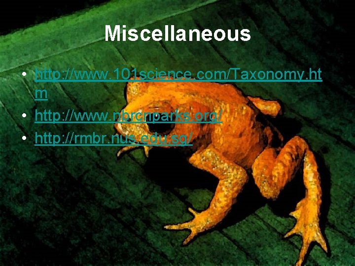 Miscellaneous • http: //www. 101 science. com/Taxonomy. ht m • http: //www. nbrcnparks. org/