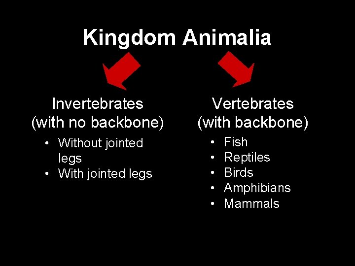 Kingdom Animalia Invertebrates (with no backbone) • Without jointed legs • With jointed legs