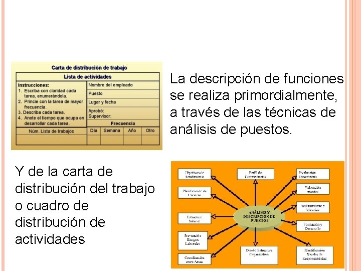 La descripción de funciones se realiza primordialmente, a través de las técnicas de análisis