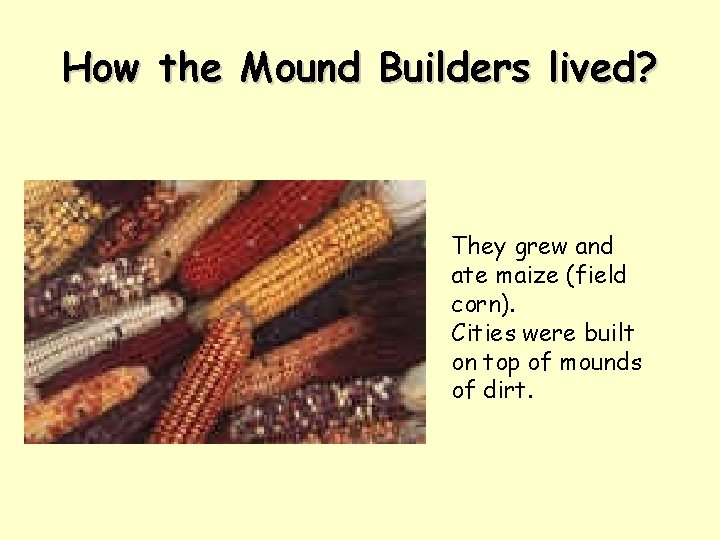 How the Mound Builders lived? They grew and ate maize (field corn). Cities were