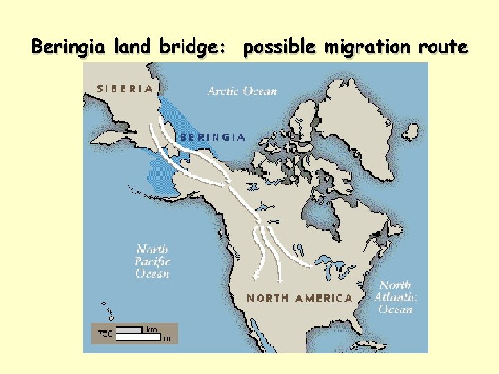 Beringia land bridge: possible migration route 