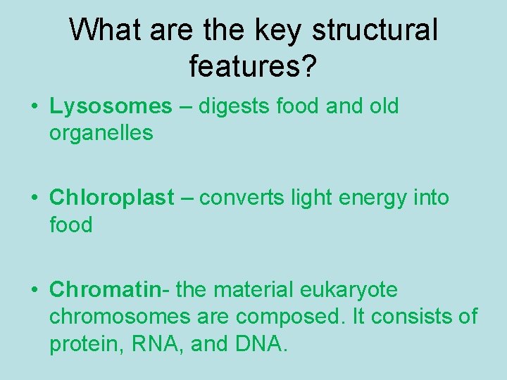 What are the key structural features? • Lysosomes – digests food and old organelles