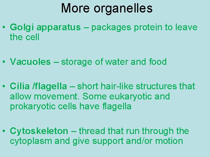 More organelles • Golgi apparatus – packages protein to leave the cell • Vacuoles