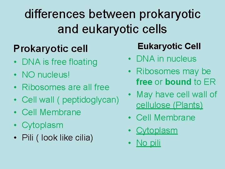 differences between prokaryotic and eukaryotic cells Prokaryotic cell • • DNA is free floating