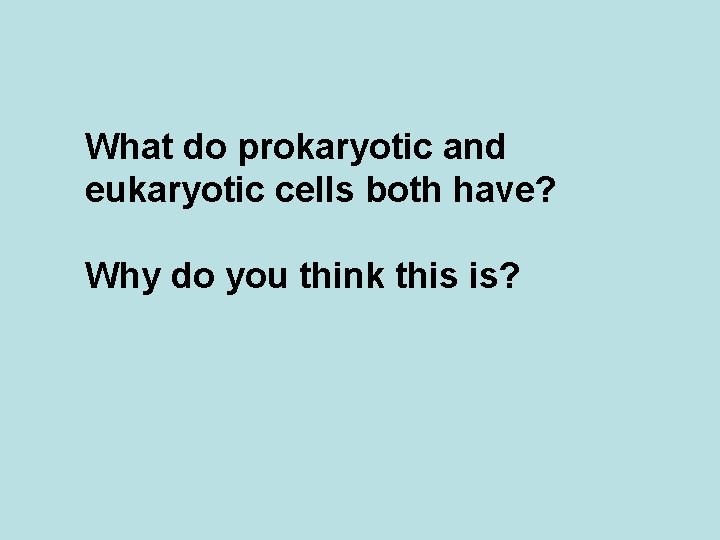 What do prokaryotic and eukaryotic cells both have? Why do you think this is?
