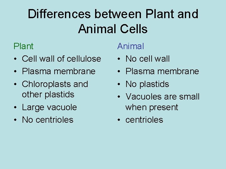 Differences between Plant and Animal Cells Plant • Cell wall of cellulose • Plasma Differences between Plant and Animal Cells Plant • Cell wall of cellulose • Plasma