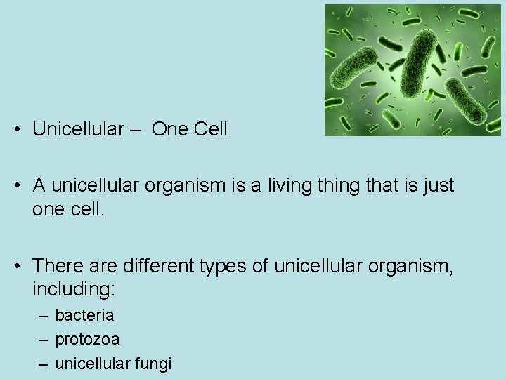  • Unicellular – One Cell • A unicellular organism is a living that