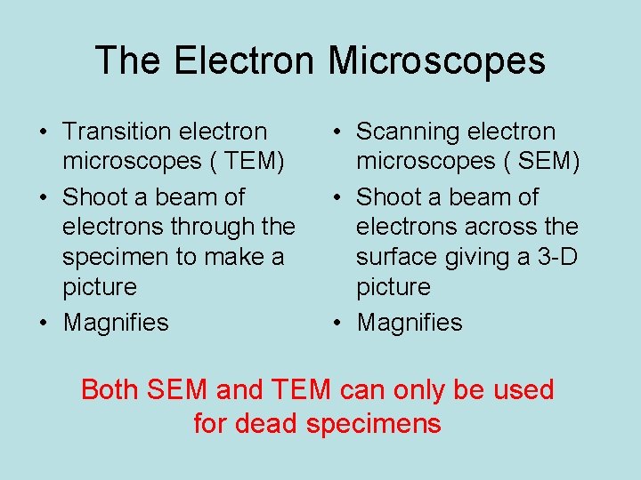 The Electron Microscopes • Transition electron microscopes ( TEM) • Shoot a beam of The Electron Microscopes • Transition electron microscopes ( TEM) • Shoot a beam of