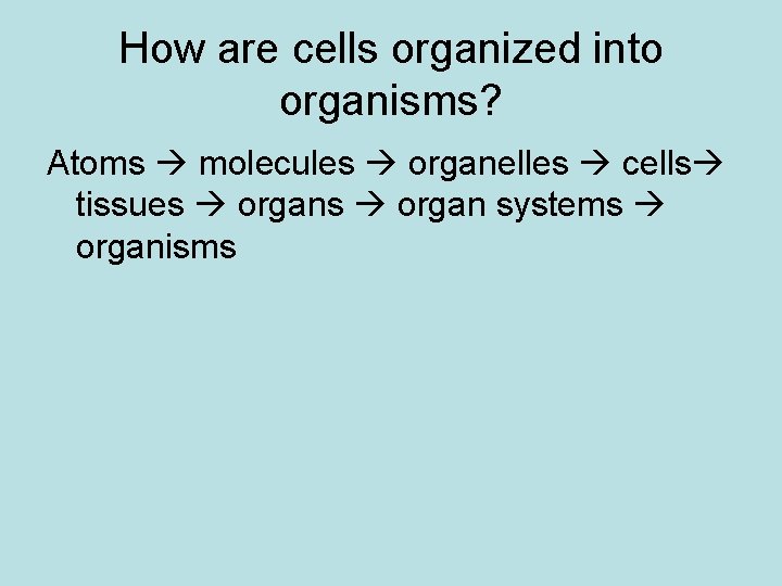 How are cells organized into organisms? Atoms molecules organelles cells tissues organ systems organisms