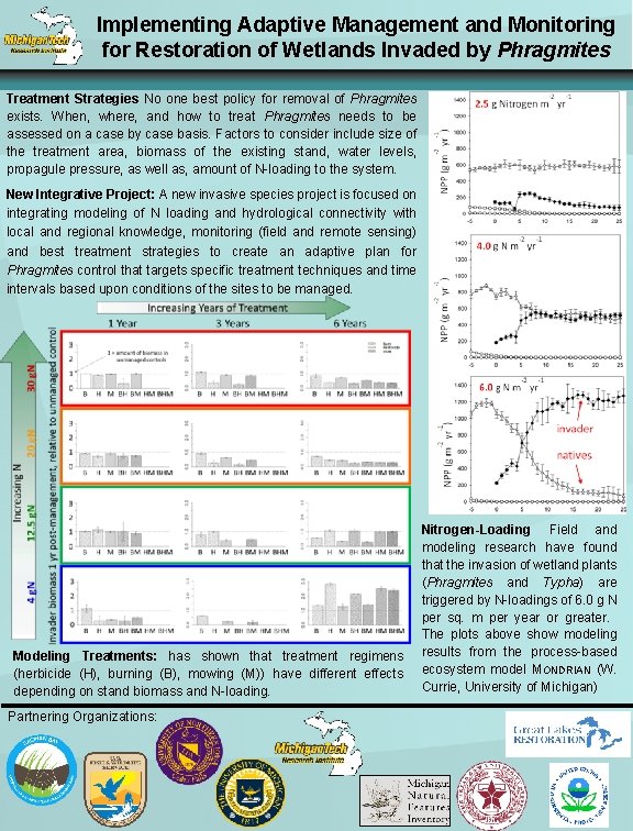 Implementing Adaptive Management and Monitoring for Restoration of Wetlands Invaded by Phragmites Treatment Strategies
