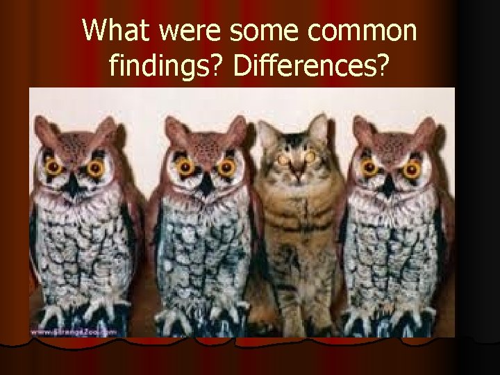 What were some common findings? Differences? 