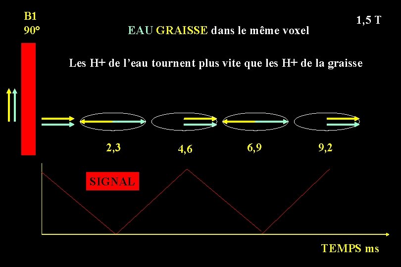 B 1 90° 1, 5 T EAU GRAISSE dans le même voxel Les H+