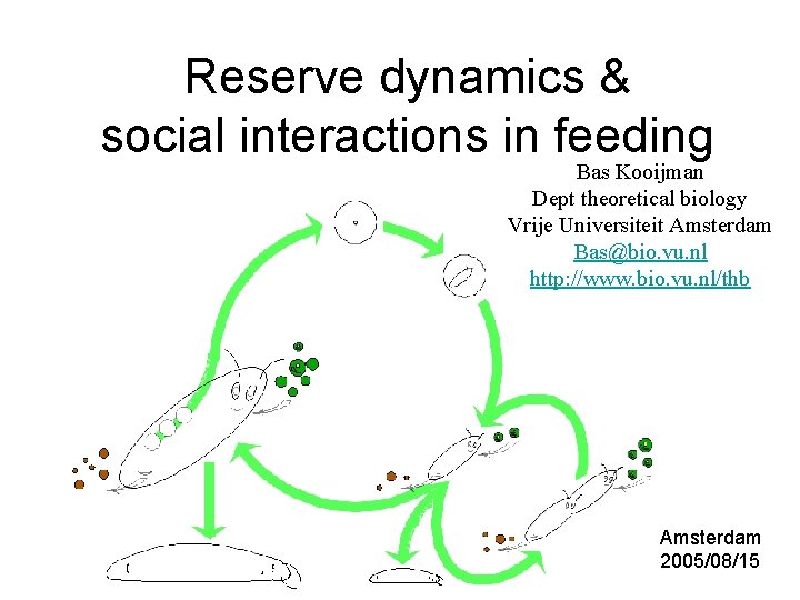 Reserve dynamics & social interactions in feeding Bas Kooijman Dept theoretical biology Vrije Universiteit