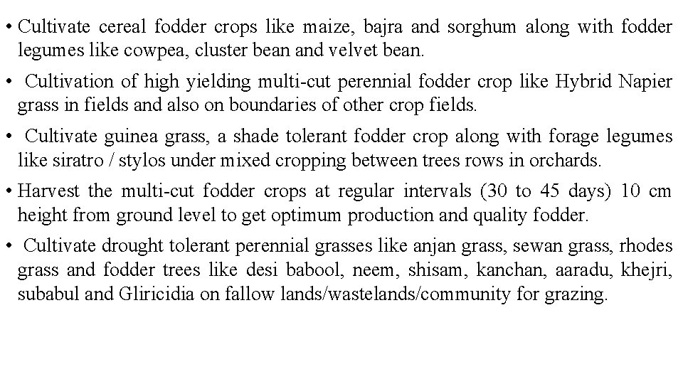 • Cultivate cereal fodder crops like maize, bajra and sorghum along with fodder • Cultivate cereal fodder crops like maize, bajra and sorghum along with fodder