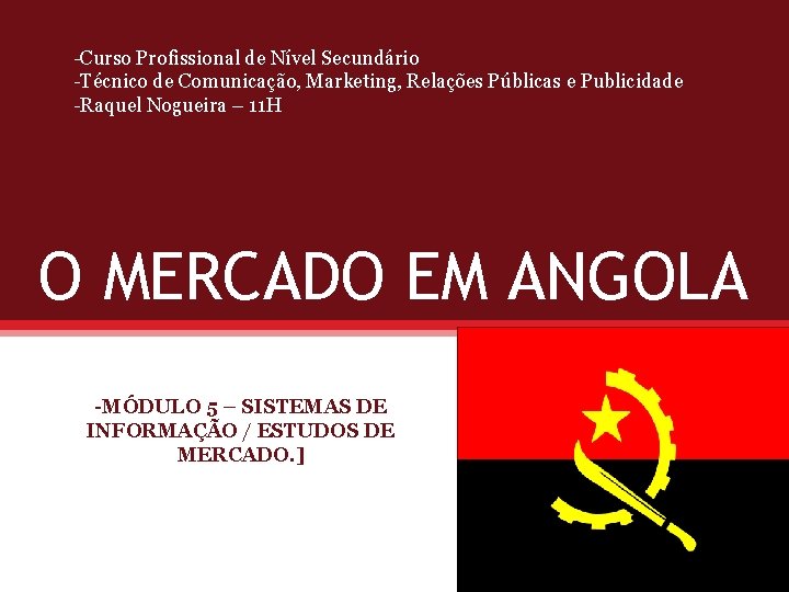 -Curso Profissional de Nível Secundário -Técnico de Comunicação, Marketing, Relações Públicas e Publicidade -Raquel