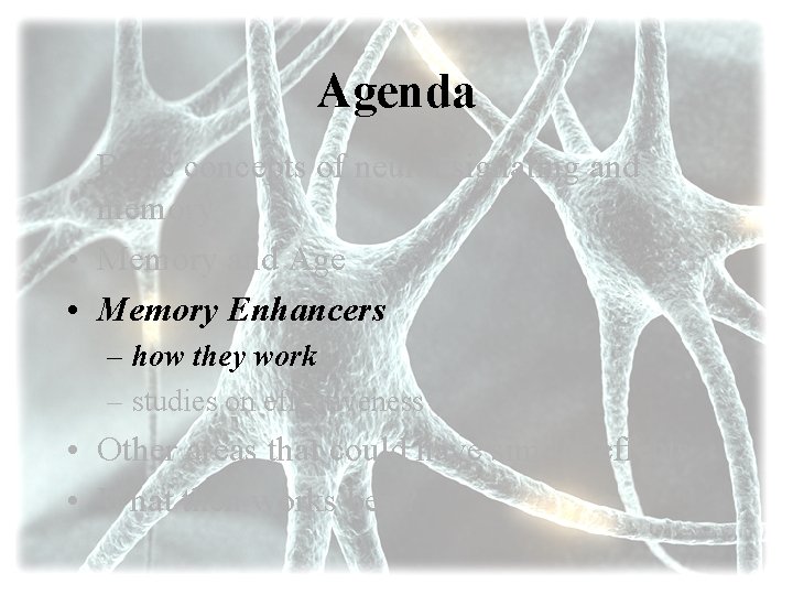 Agenda • Basic concepts of neural signaling and memory • Memory and Age •