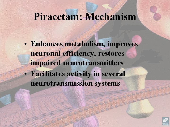Piracetam: Mechanism • Enhances metabolism, improves neuronal efficiency, restores impaired neurotransmitters • Facilitates activity