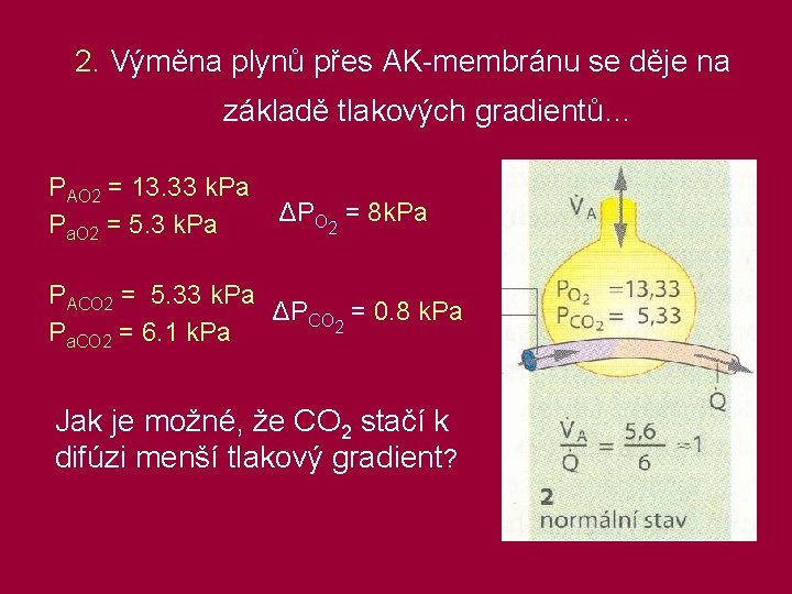 2. Výměna plynů přes AK-membránu se děje na základě tlakových gradientů… PAO 2 =