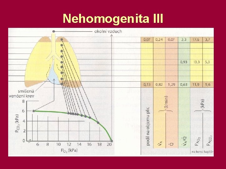 Nehomogenita III 