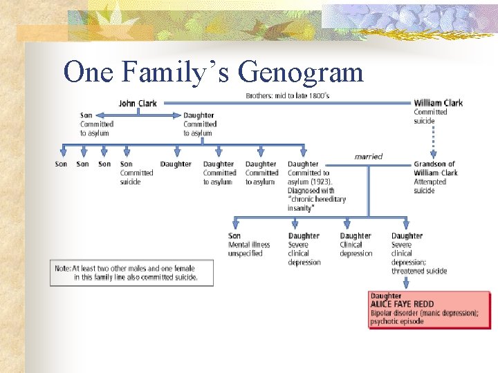 One Family’s Genogram 