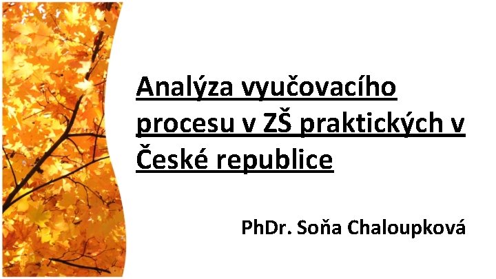 Analýza vyučovacího procesu v ZŠ praktických v České republice Ph. Dr. Soňa Chaloupková 