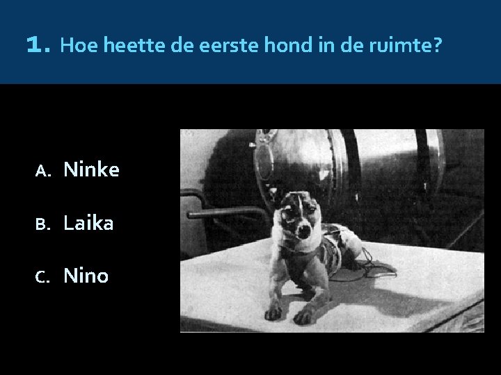 1. Hoe heette de eerste hond in de ruimte? A. Ninke B. Laika C.