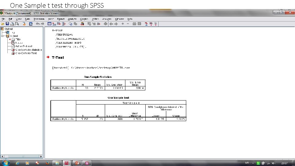 One Sample t test through SPSS 