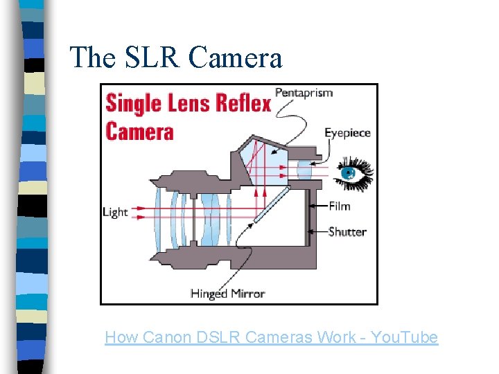 The SLR Camera How Canon DSLR Cameras Work - You. Tube 