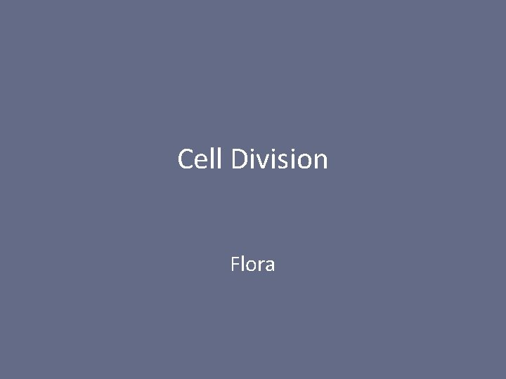 Cell Division Flora 