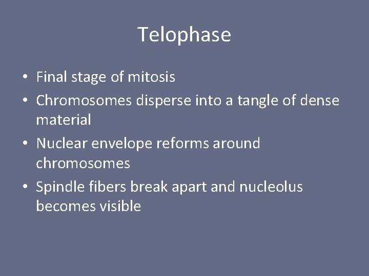 Telophase • Final stage of mitosis • Chromosomes disperse into a tangle of dense