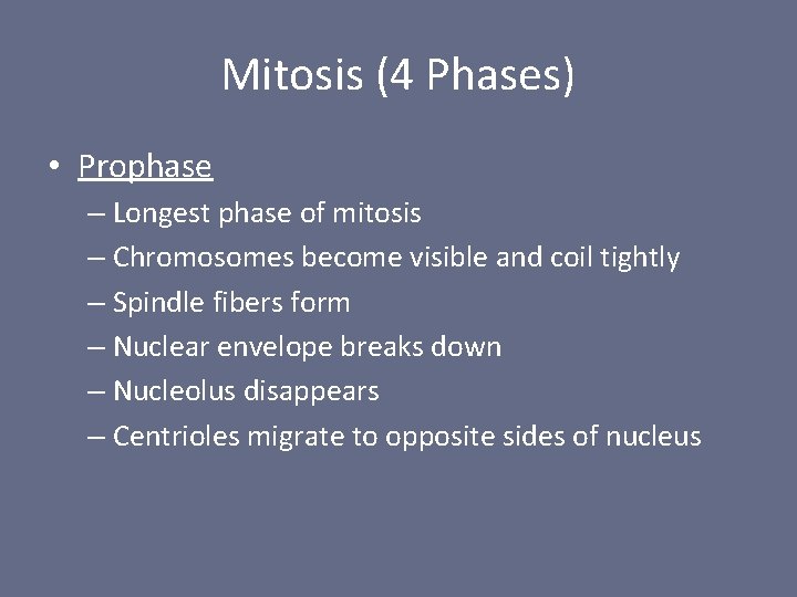 Mitosis (4 Phases) • Prophase – Longest phase of mitosis – Chromosomes become visible