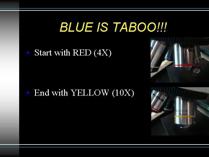 BLUE IS TABOO!!! • Start with RED (4 X) • End with YELLOW (10 BLUE IS TABOO!!! • Start with RED (4 X) • End with YELLOW (10