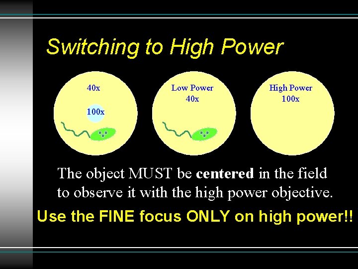 Switching to High Power 40 x Low Power 40 x High Power 100 x Switching to High Power 40 x Low Power 40 x High Power 100 x