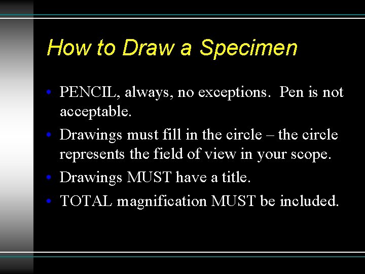 How to Draw a Specimen • PENCIL, always, no exceptions. Pen is not acceptable. How to Draw a Specimen • PENCIL, always, no exceptions. Pen is not acceptable.