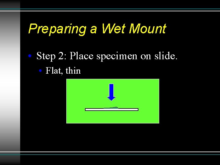 Preparing a Wet Mount • Step 2: Place specimen on slide. • Flat, thin Preparing a Wet Mount • Step 2: Place specimen on slide. • Flat, thin