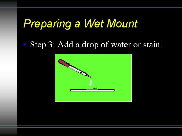 Preparing a Wet Mount • Step 3: Add a drop of water or stain. Preparing a Wet Mount • Step 3: Add a drop of water or stain.