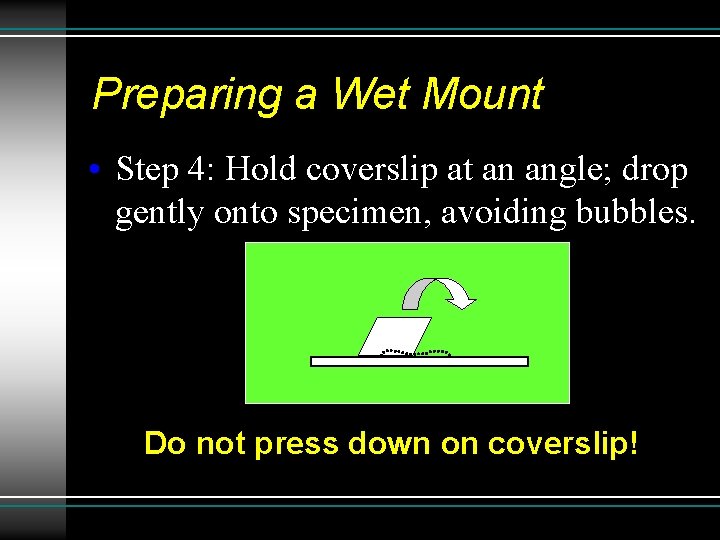 Preparing a Wet Mount • Step 4: Hold coverslip at an angle; drop gently Preparing a Wet Mount • Step 4: Hold coverslip at an angle; drop gently