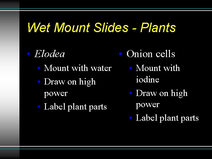 Wet Mount Slides - Plants • Elodea • Mount with water • Draw on Wet Mount Slides - Plants • Elodea • Mount with water • Draw on