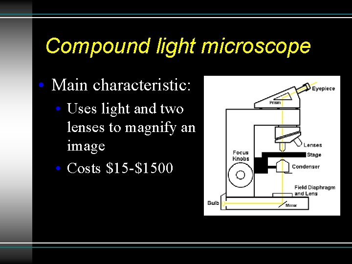 Compound light microscope • Main characteristic: • Uses light and two lenses to magnify Compound light microscope • Main characteristic: • Uses light and two lenses to magnify