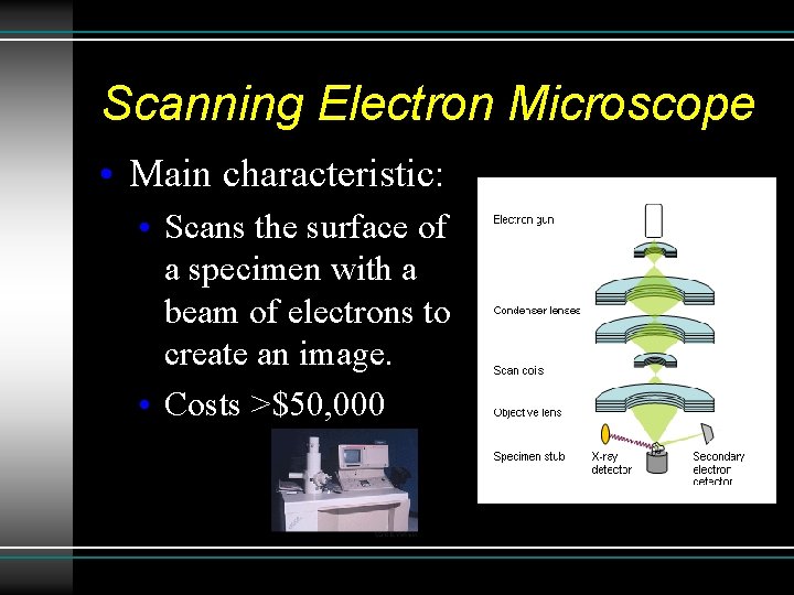Scanning Electron Microscope • Main characteristic: • Scans the surface of a specimen with Scanning Electron Microscope • Main characteristic: • Scans the surface of a specimen with