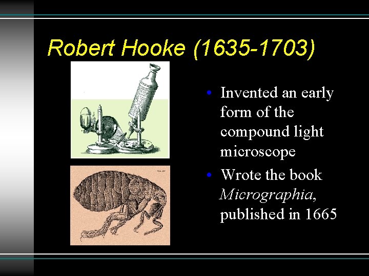 Robert Hooke (1635 -1703) • Invented an early form of the compound light microscope Robert Hooke (1635 -1703) • Invented an early form of the compound light microscope