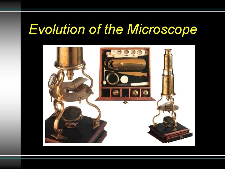 Evolution of the Microscope Evolution of the Microscope