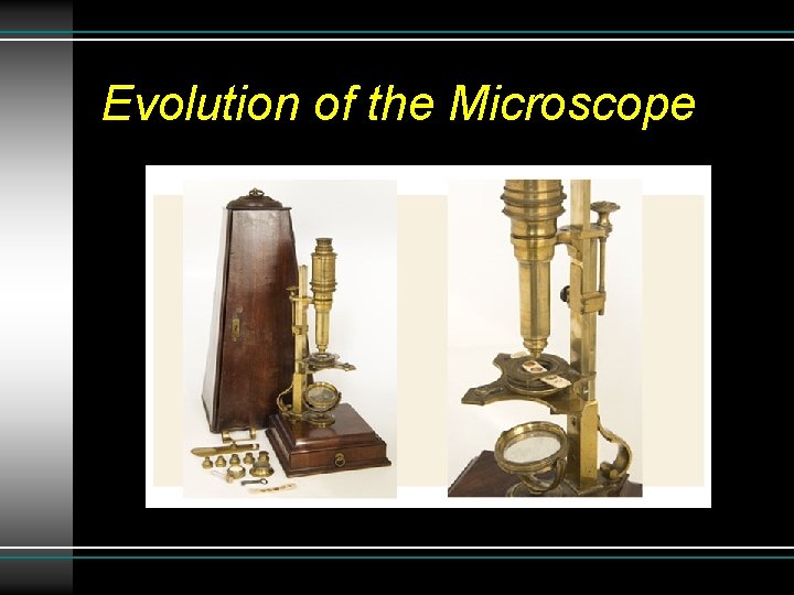 Evolution of the Microscope Evolution of the Microscope