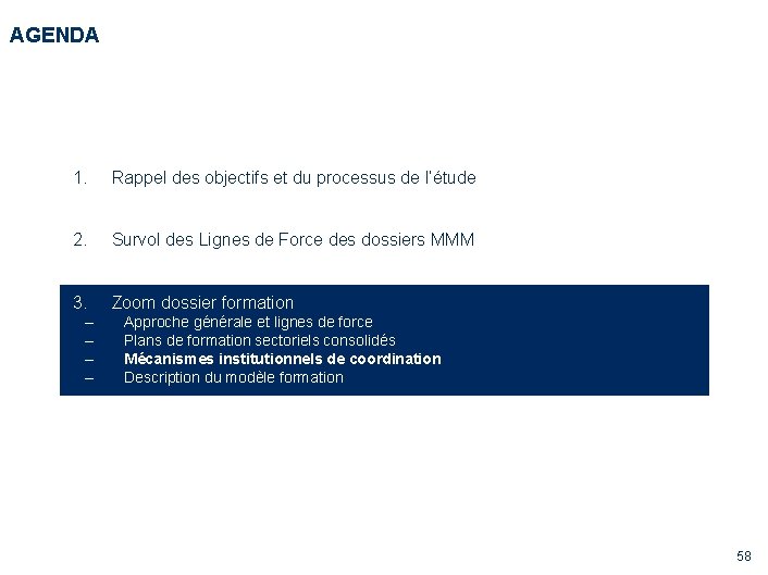 AGENDA 1. Rappel des objectifs et du processus de l’étude 2. Survol des Lignes