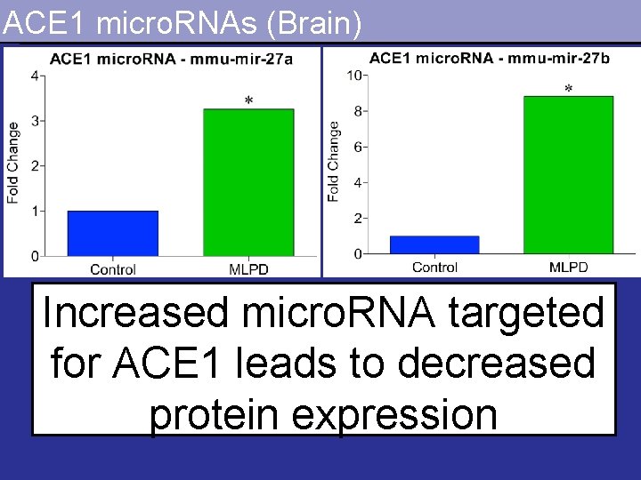 ACE 1 micro. RNAs (Brain) Increased micro. RNA targeted for ACE 1 leads to