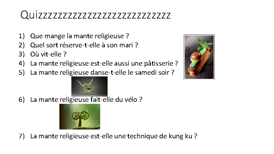 Quizzzzzzzzzzzzzz 1) 2) 3) 4) 5) Que mange la mante religieuse ? Quel sort