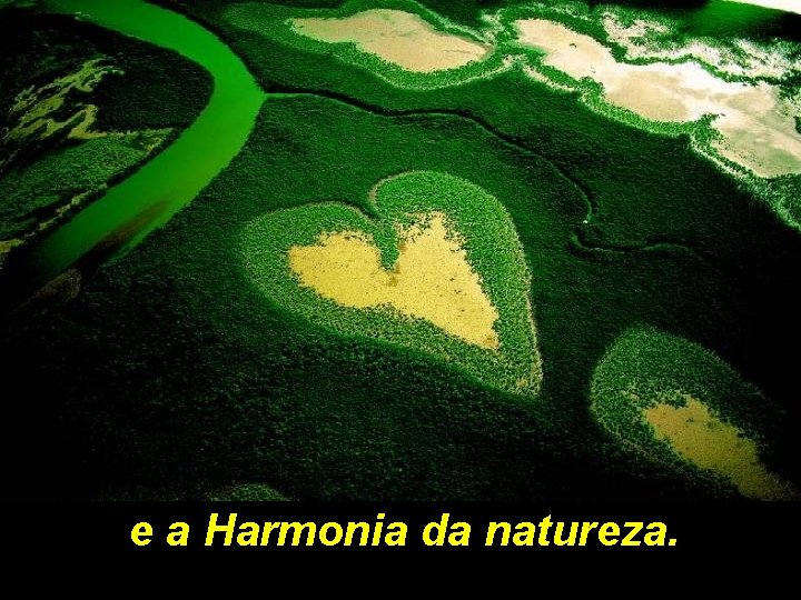 e a Harmonia da natureza. 