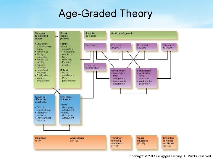 Age-Graded Theory Copyright © 2017 Cengage Learning. All Rights Reserved. 