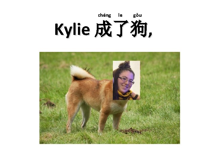 chéng le gǒu Kylie 成了狗, 